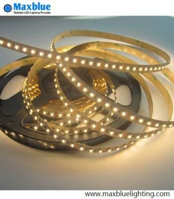 TUV Ce Listed 2-in-1 3528SMD Chip Dual White LED Strip