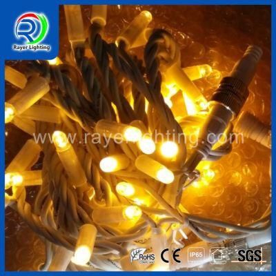 LED Twinkle Decoration LED String Lights LED Outdoor Party Holiday Decoration