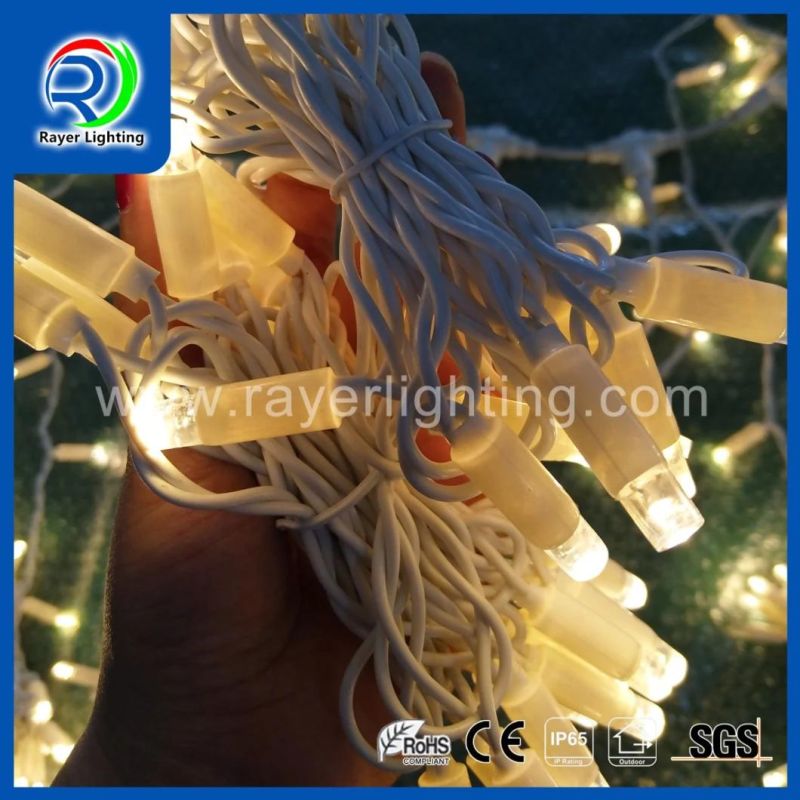 LED String Light LED Garden Holiday Decoration LED Small Twig Light LED Street Light