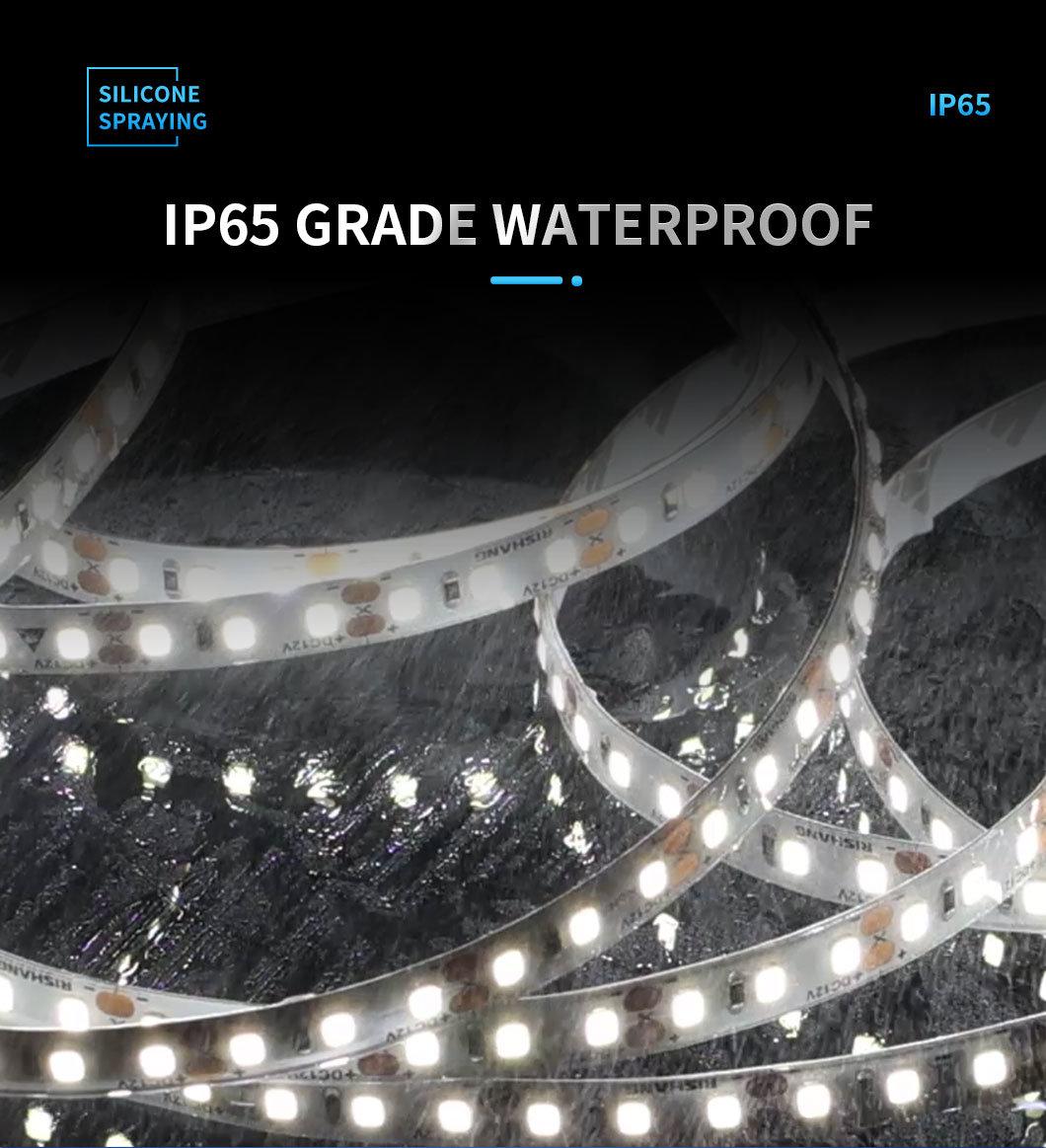 IP65 0.5mm Spray Silicone SMD2835 60LED Flex LED Strip