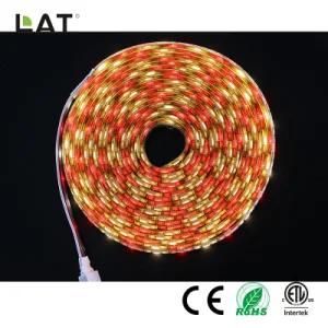 DC24V 5m IP20 High Brightness SMD5050 Rgbww 30/60/120LEDs Flexible LED Strip Light