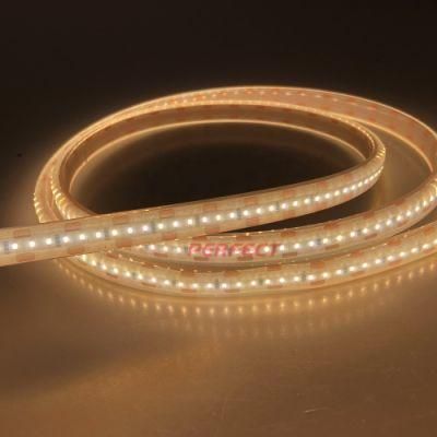 Waterproof IP68 LED Strip SMD 2216 12VDC Christmas Lighting