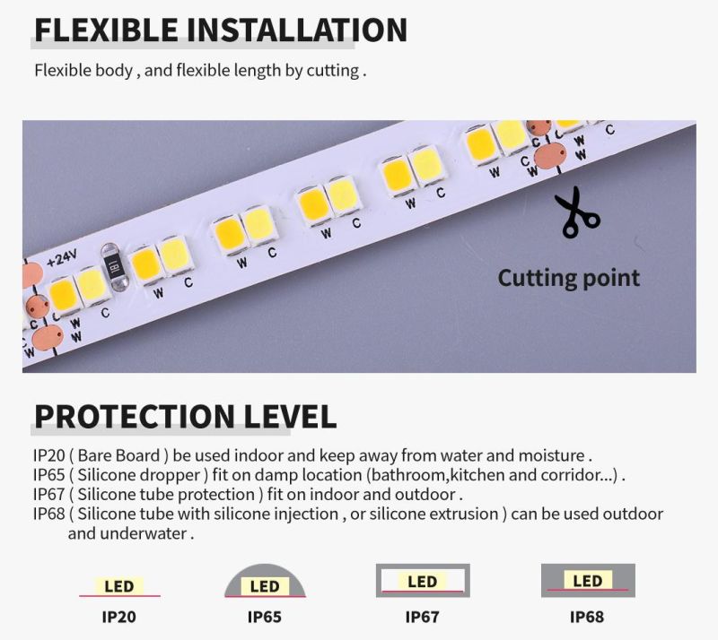 Double Color CCT SMD2835 240LEDs/M 24V Flexible LED Strip Light