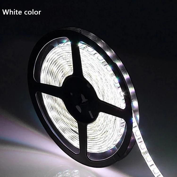 High Waterproof IP68 LED Strip Lights for Outdoor Decoration