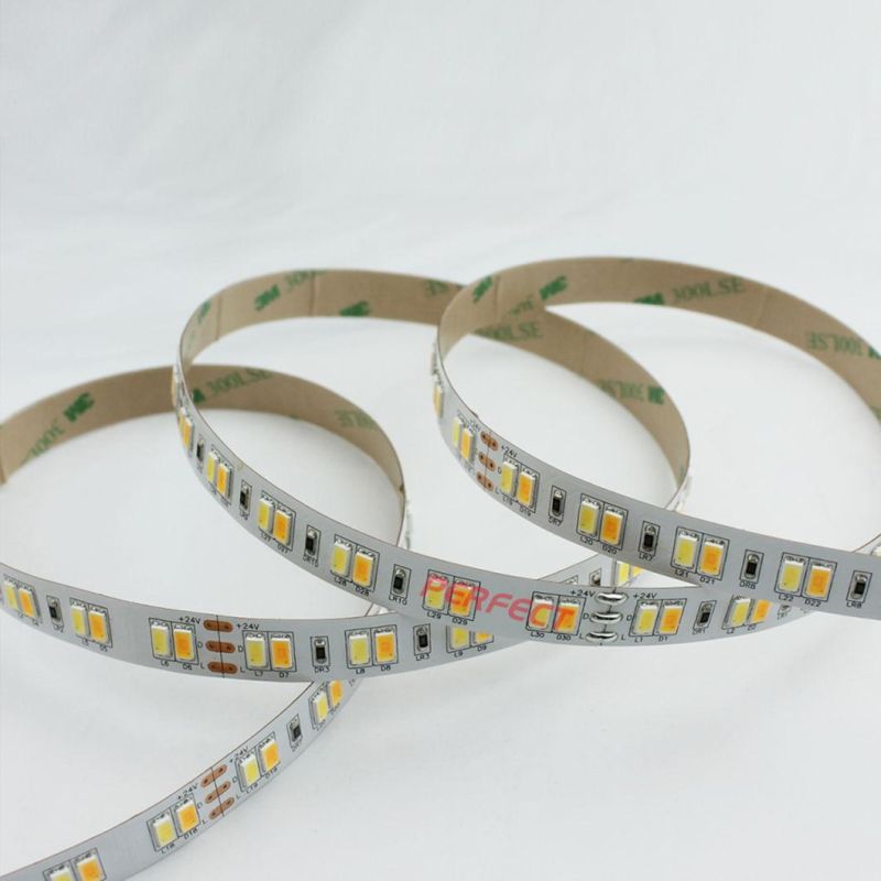 High Lumens 120LEDs/M 24VDC SMD 5630 CCT Adjustable LED Strip