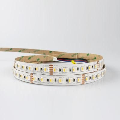 CE RoHS Certificate DC24V RGB+White 5050 LED Strip