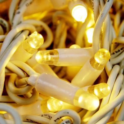 Waterproof Linkable IP68 Rubber Cable LED String Light with 10m 20m 30m 40m 50m