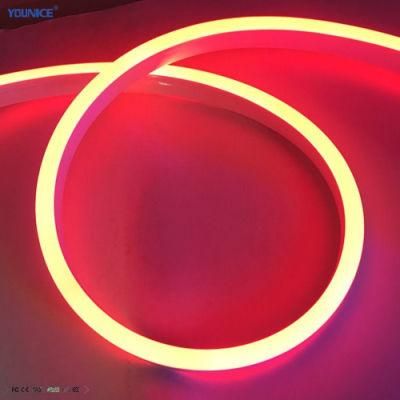 360 Degree Full Illumination Colorful DC24V 22diameter LED Flexible Neon Strip