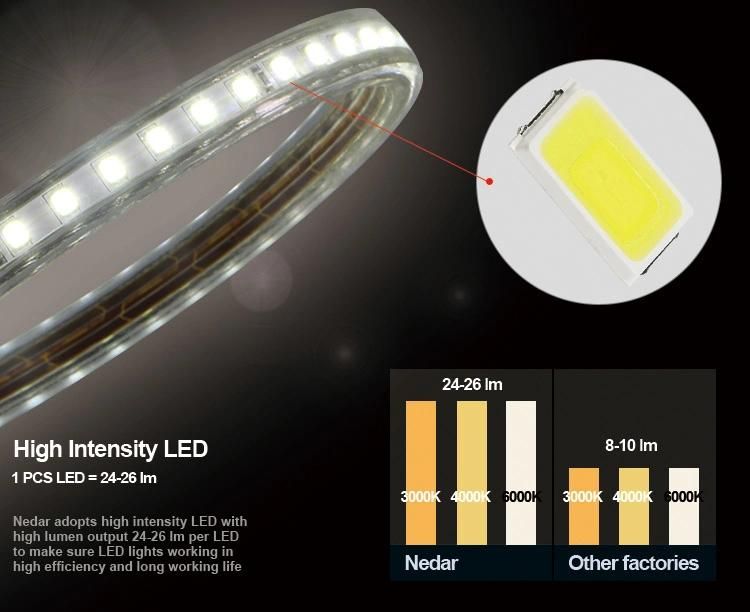 220V 230V LED Strip Light SMD 2835 Ce RoHS Certified Outdoor Used IP65 Waterproof Decorative Light