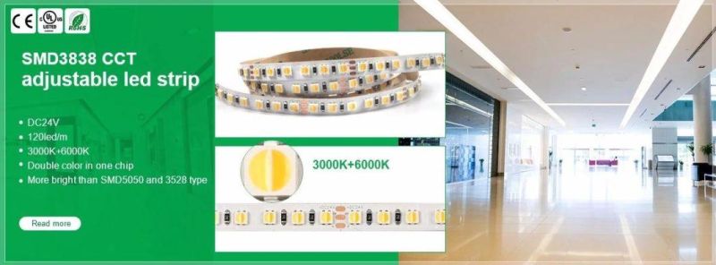 High Density 120 LEDs/M CCT Adjustable SMD 3838 LED Strip