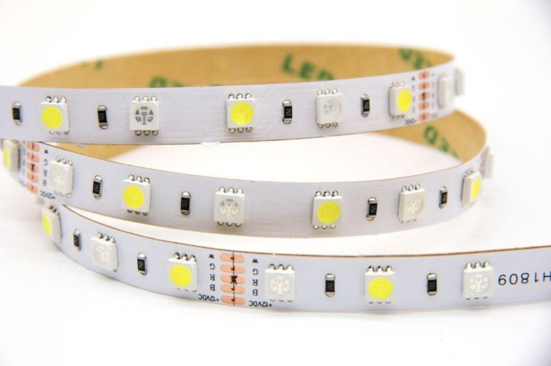 5050 60LED/M 14.4W/M Flexible SMD5050 RGB+W LED Strip