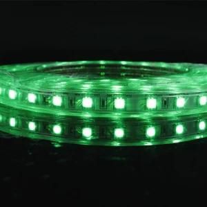 High Voltage 5050 SMD LED Light Changing Color for Festival Decoration