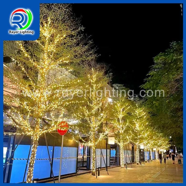 LED Twinkle String Light LED High Quality Light LED Festival Light LED Holiday Outdoor Lights