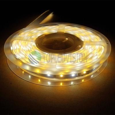 High Quality 60LEDs/M SMD5050 RGBW LED Strip 12V, 24V DC with IEC/En62471