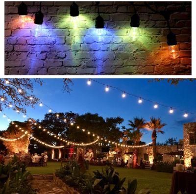 Upgraded 12V S14 RGBW RGB LED String Lights