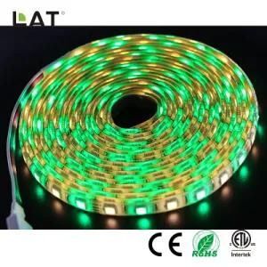 DC24V 1m IP65 Smart Bluetooth High Brightness SMD 5050 Rgbww 30/60/120LEDs Flexible LED Strip Light