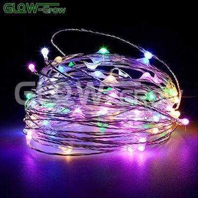 Multicolor Micro DOT Christmas LED Fairy Light Low Voltage String Lights for Holiday Home Event Xmas Garden Garland Decoration