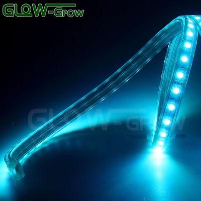 SMD 5050 LED Music Sync RGB LED Strip Lamp for Restaurant Bar House Hoilday Decoration