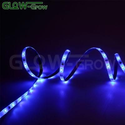 12V 5050 UL Listed Music RGB LED Strip Light for Christmas Lighting Decoration