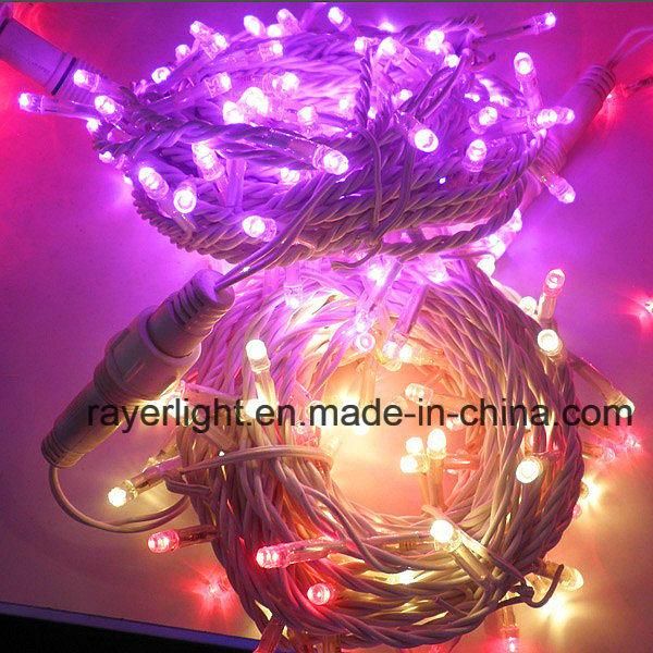 Christmas Light Festivital Decoration Outdoor Decoration LED String Lights