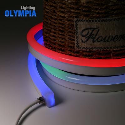 DIY 24V Color Changing LED Neon Rope Light