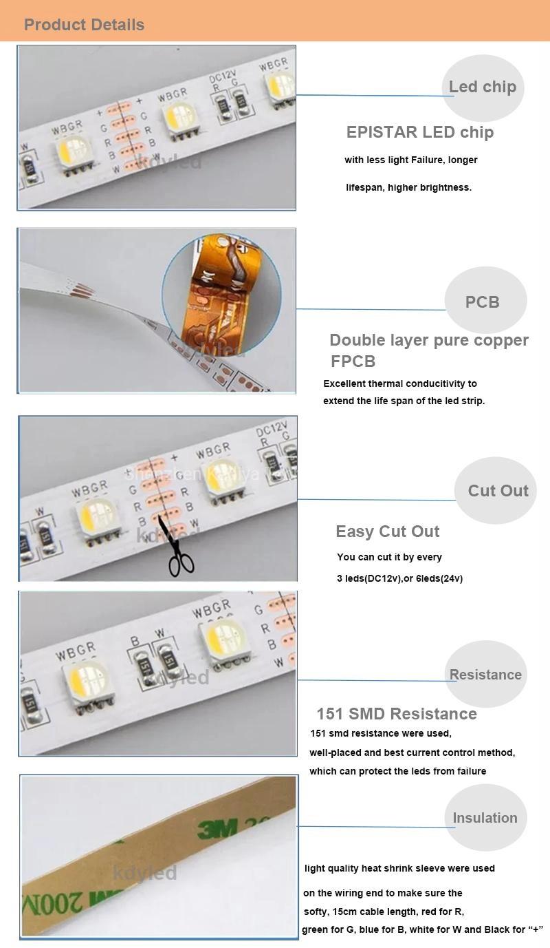 Waterproof IP65 4 Colors in 1 Chip 5050 RGBW Rgbww LED Strip Light