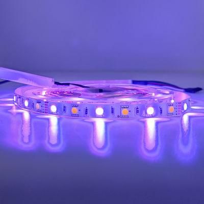 Energy Saving Cx-Lumen China Factory LED Rope Light for Room