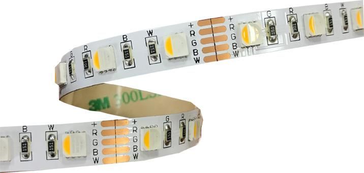 5050 4in1 Series and Super Brightness LED Strip 12V with TUV Ce Certfication