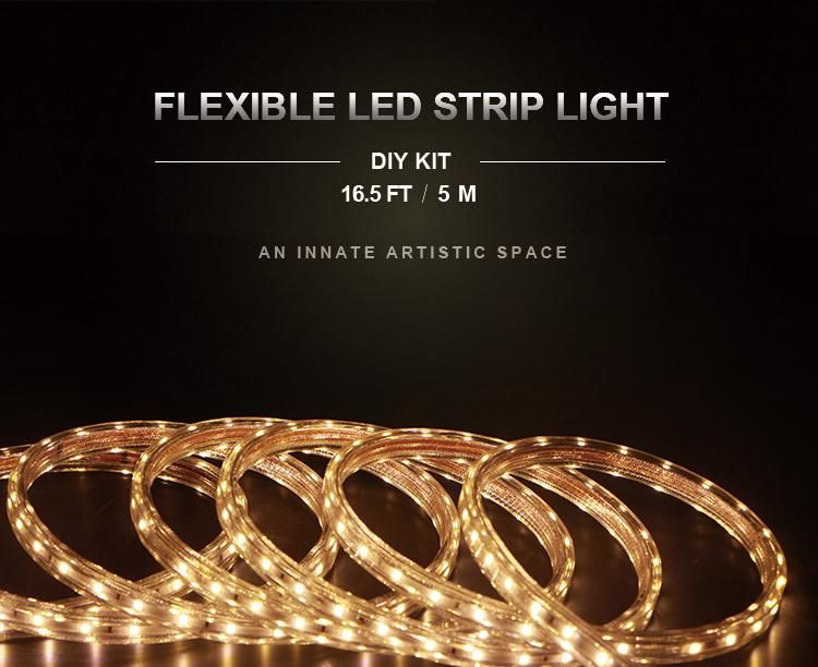 Decorative Light LED Strip Light LED Rope Light LED String SMD 2835 Waterproof IP65 Ce RoHS Cert