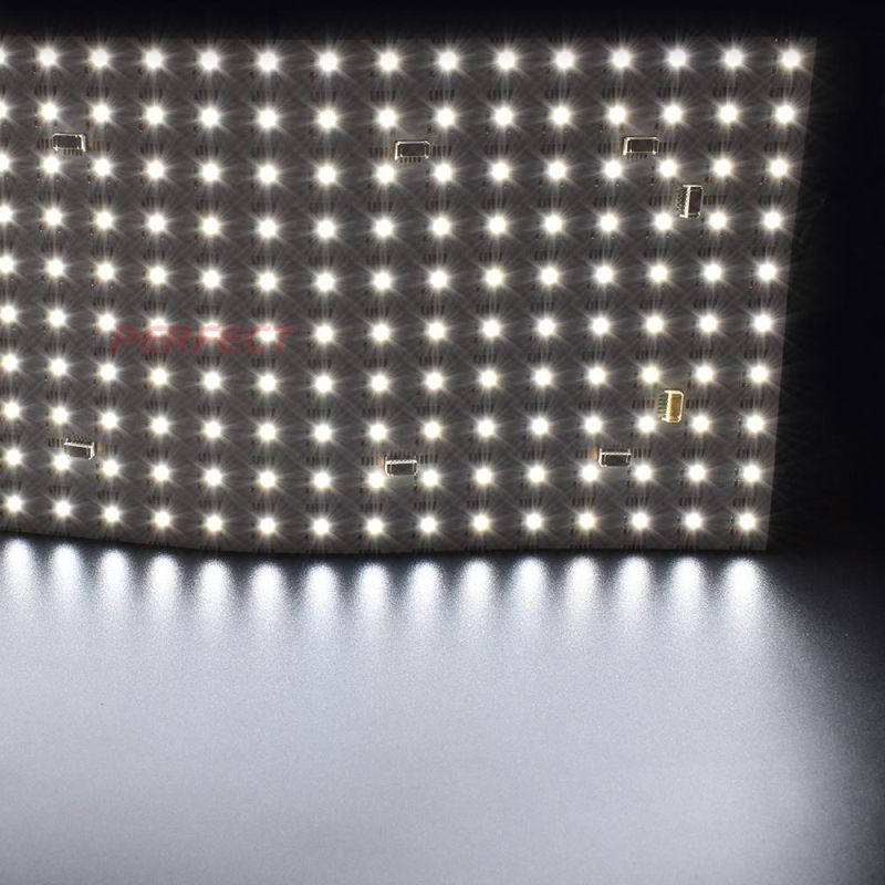 New LED Light Sheet RGBW Flexible Warm White 800LED 24VDC LED Light Sheet