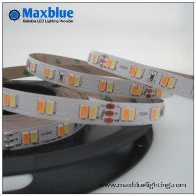 CCT Adjustable Tunable 112LEDs/M Dual White 5630SMD LED Strip Light