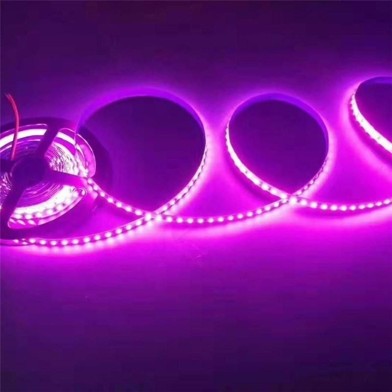 5m / Roll LED Strip 2835 Luminous Flux More Higher Than Old 3528 5630 5050 SMD LED Strip Light 60LEDs/M 12V Lamp String Decor