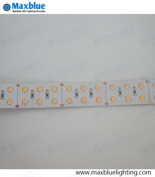 DC24V SMD 2835 168LEDs/M 30W/M LED Strip Lamp