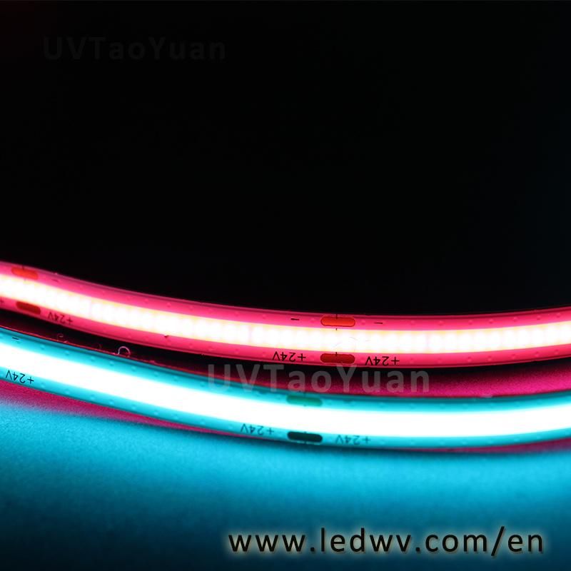 Warm White Green Blue Red LED Flexible Strip Light