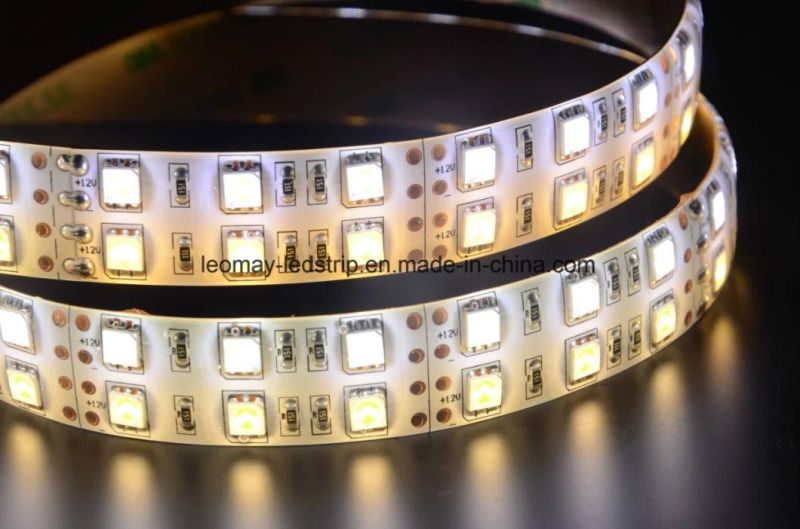 24V SMD5050 120 LED Strip with RoHS CE Certificated