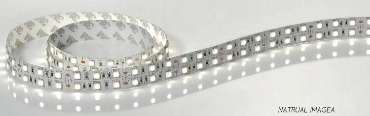 220V 100% Purity Golden Wire 5050 SMD LED Specifications LED Flexible Strip Light Magic Digital LED Free Band Rope Strip Changeable Color for Decoration