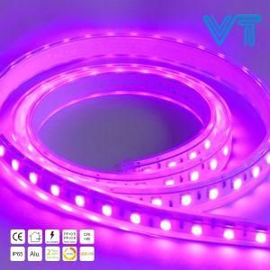 7W SMD5050 Water-Resistant 60LEDs/M LED Strip Light