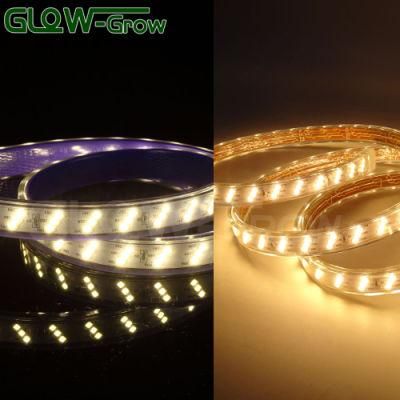 120V 50m 900lm/M 180 (60*3) LEDs/M 2835 IP65 Flexible LED Strip Light with AC/DC Converter