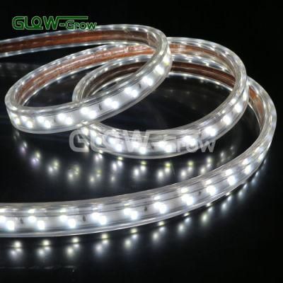 CE Approval Home Use 120V 120LED Strip Light with Non-Toxic PVC