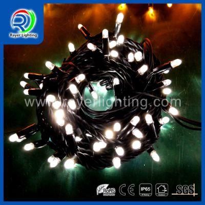 Green Color Light Outdoor IP65 Decoration Christmas Lights G LED String Light