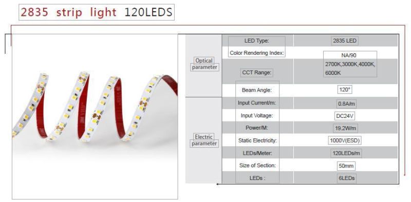 Manufacture Factory Direct Sell SMD LED Strip Light 2835 120LEDs/M DC24V for Home/Office/Building