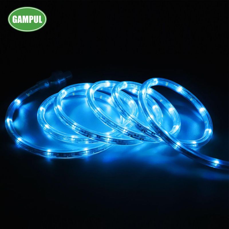 Outdoor Waterproof 7.3m RGB Rope Light for Party, Christmas Decoration