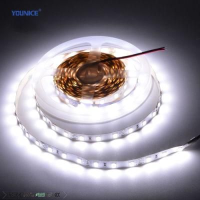 200lm/W Super Bright DC24V SMD2835 6500K LED Flexible Tape Ribbon Strip