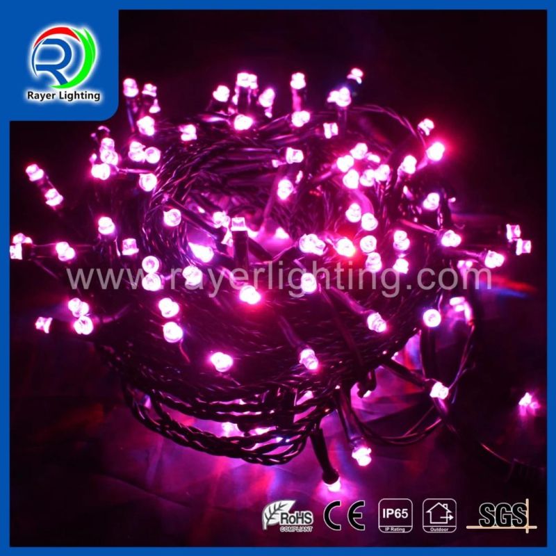 LED Holiday Synchro String Light Garden Decoration LED String Light