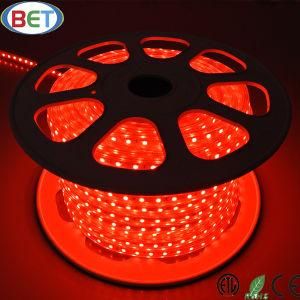 SMD5050 Home Decoration LED Lighting Strip