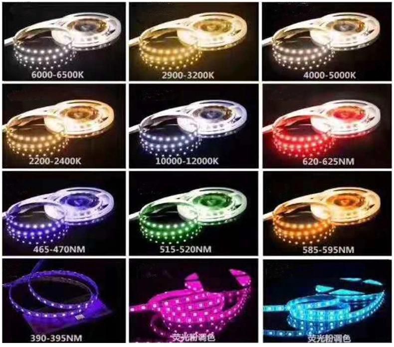 220V Smart Lights Strips 100m Decoration LED SMD 5050-60 RGB Blue Green Flexible Waterproof LED Strip Lightings 110V