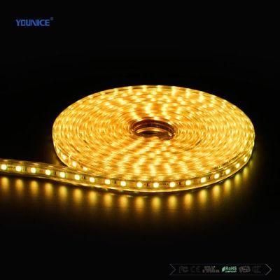 200lm/W IP68 SMD2835 High Efficiency DC24V Decorative Lighting LED Flexible Strip