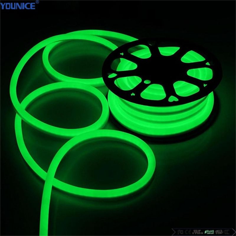 LED Lighting Multi Color Neon Flexible Rgbyow LED Tape Light Strip