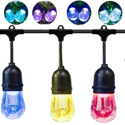 Vintage Seasons LED Warm White &amp; Color Changing Cafe String Lights