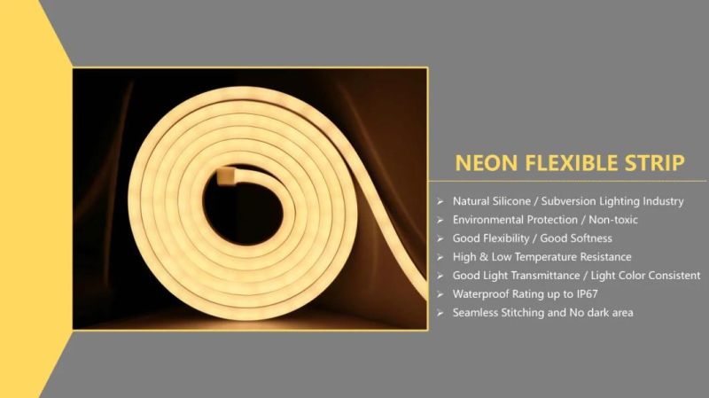 IP65 Waterproof PVC Silicone Flex Neon Rope Light Strip 110V 220V 24V 12V